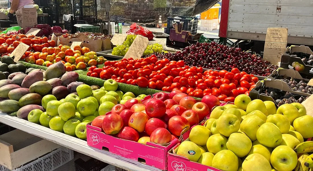 Mercado Municipal, Torrevieja