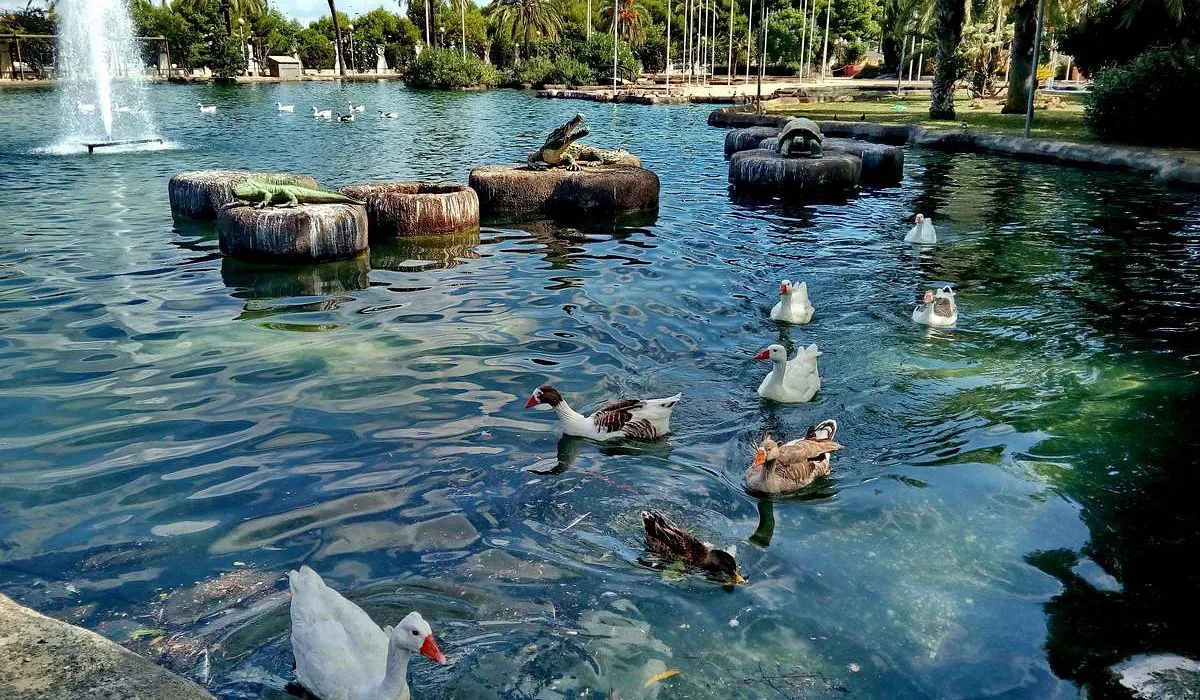 Parque Natural de las Salinas, Torrevieja